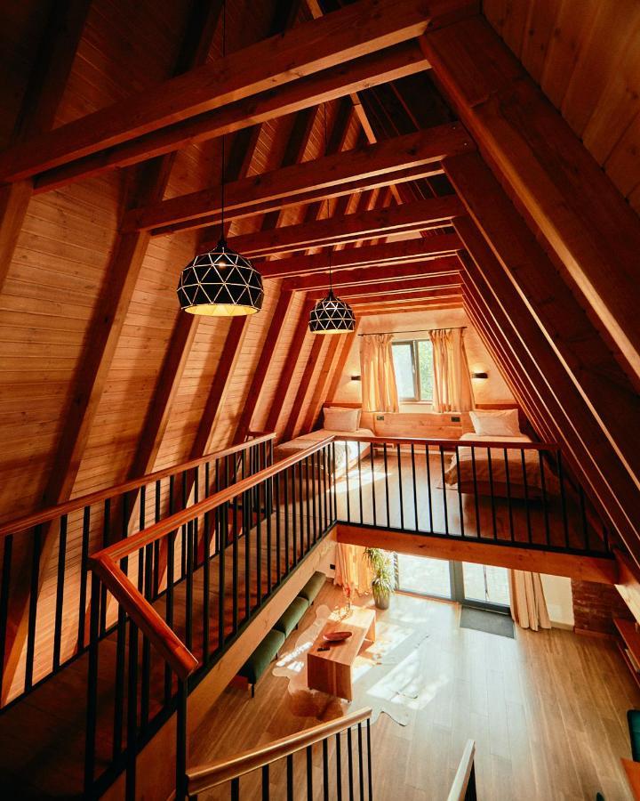 Aruna Bran Bran (Brasov)