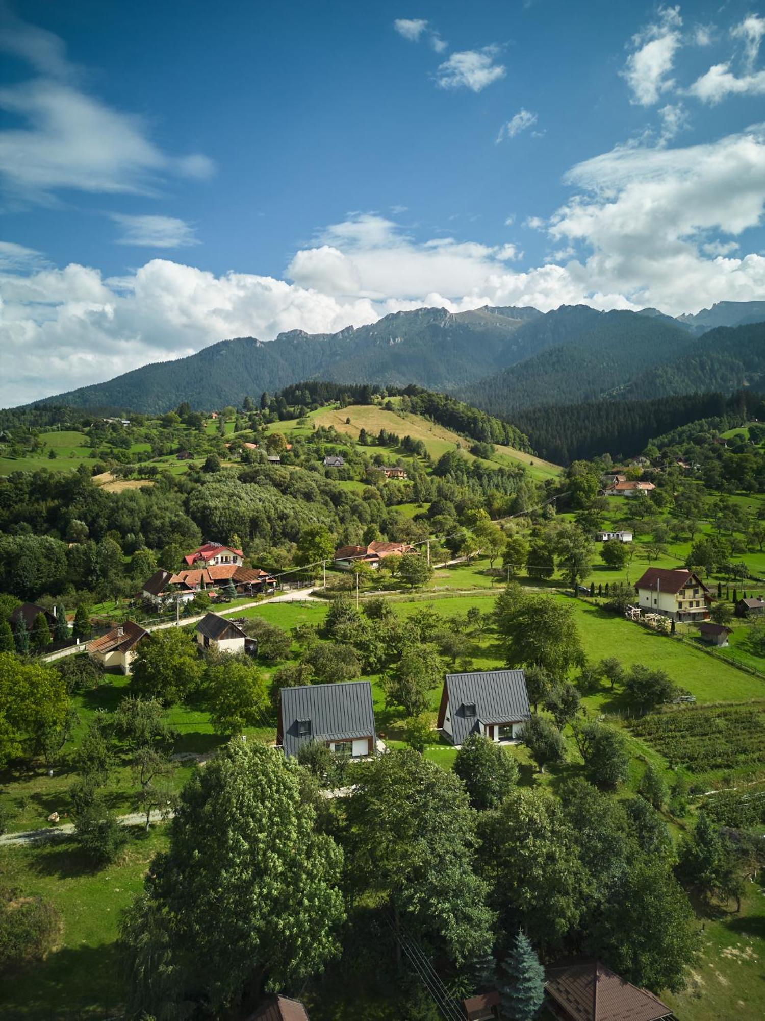 Aruna Bran Cabană Bran (Brasov)